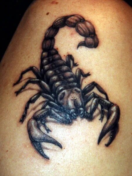 Армейский скорпион. Тату Скорпион биомеханика. Татуировки Скорпион для мужчин. Тату Скорпион мужские. Тату Скорпион на плече.