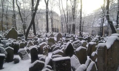 Еврейское кладбище в праге старое