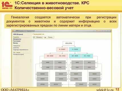 1 с животноводство