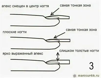 Апекс это