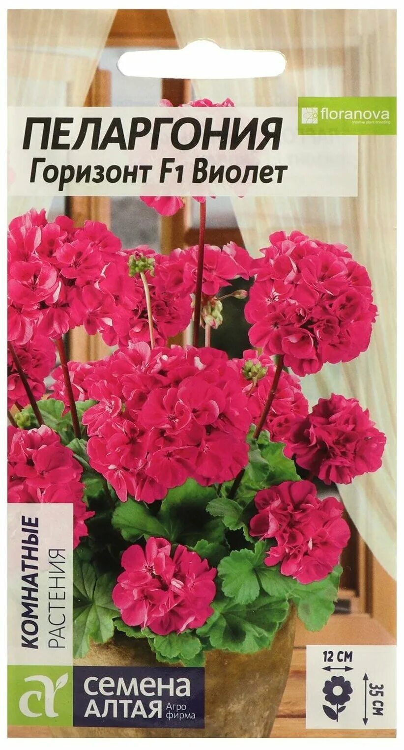 пеларгония чиффон. пеларгония зональная горизонт виолет. пеларгония горизонт виолет. пеларгония горизонт виолет семалт ц. пеларгония зональная горизонт виолет f1 3шт.