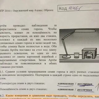 Влияет ли освещенность на скорость прорастания семян