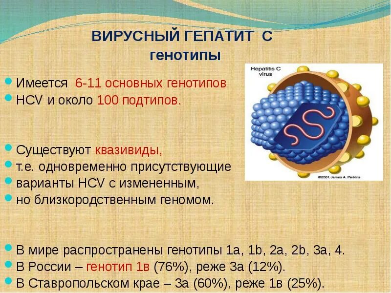 Генотип вируса гепатита с 1b что это такое. Вирус гепатита c генотип 1b лечение. Вирус гепатит с генотип 1а+1b. Генотип вируса гепатита b. Исследование hcv