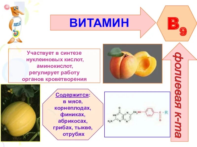 Витамины биология 9 таблица. Витамины по биологии. Витамины биология 8. Витамины биология 9 класс. Витамины 8 класс.