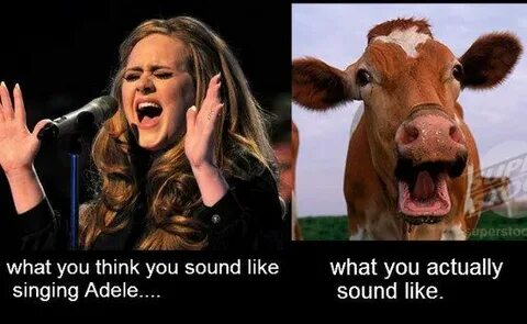 Laugh singing