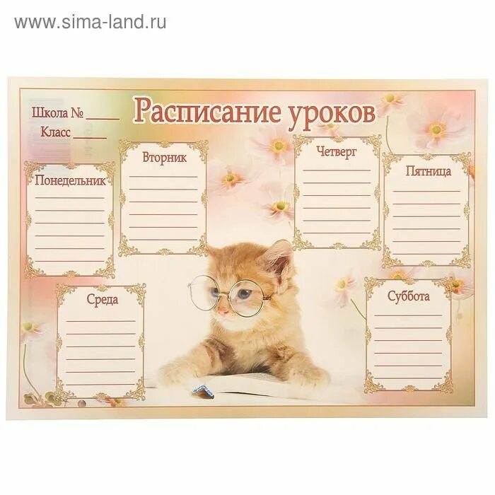Школа 1317 расписание уроков. Расписание уроков с котятами. расписание уроков с котами. расписание уроков. расписание уроков с котиками.