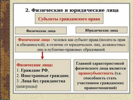 Физические лица на территории государства