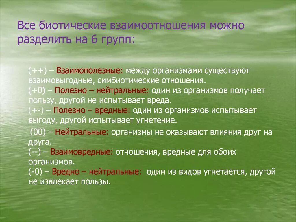 Биотические отношения. Полезные и вредные биотические отношения. Типы взаимодействий в природе. Биотипические отношения. На сколько групп можно разделить все биотические