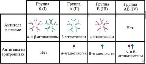 Антитела плазмы