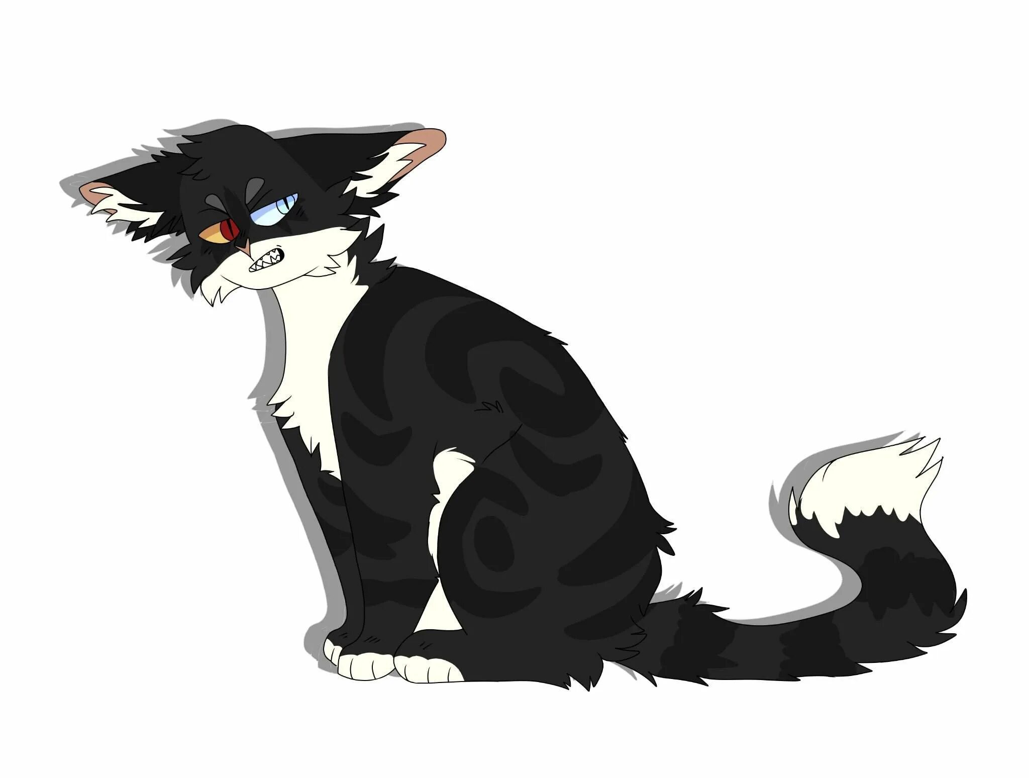 Алосветмк коты воители. Коты воители алосветик. Коты воители ромашка. Горерелый коты воители. Коты воители мотылинка.