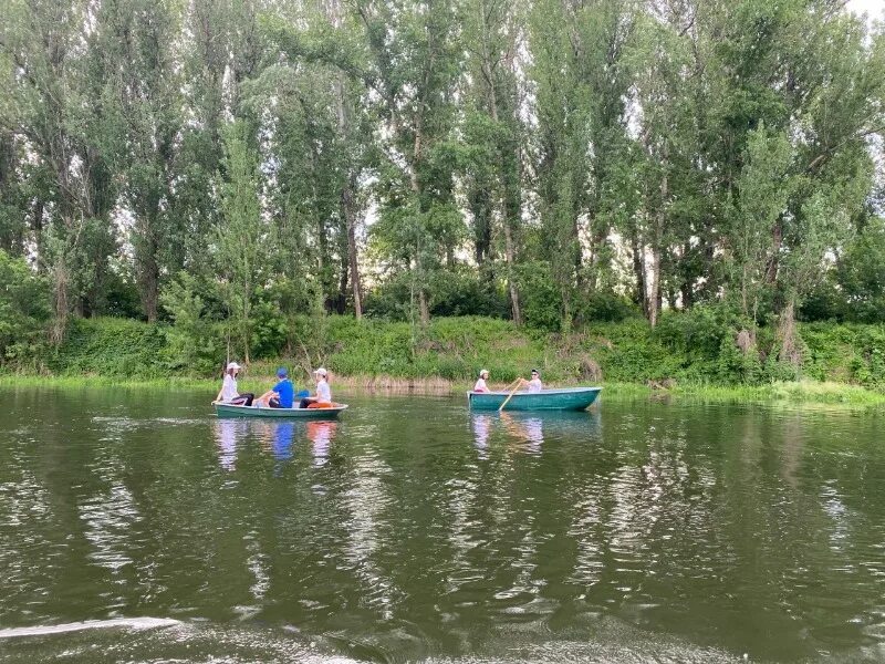 Река Оскол Чернянка. Сплавы по реке Оскол Чернянка. Чернянка пляж. Река Оскол Белгородской области сплав. Оскол без воды