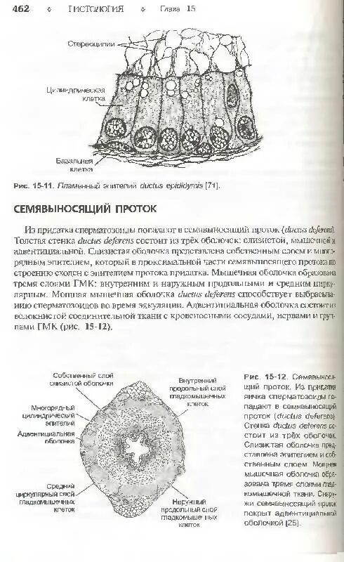 Книги по гистологии