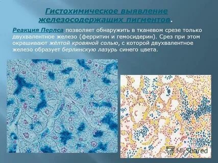 Обнаружение железа