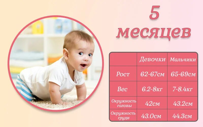 Норма 5 месячного ребенка