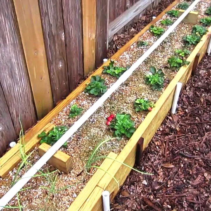 Схема посадки малины кустами. Доктор митлайдер грядки. Метод грядок митлайдера. Ширину узкой грядки. Огород по митлайдеру.