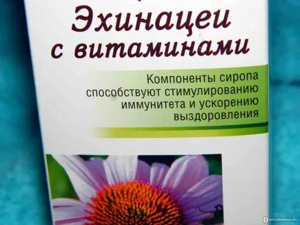 Сироп эхинацеи с витаминами