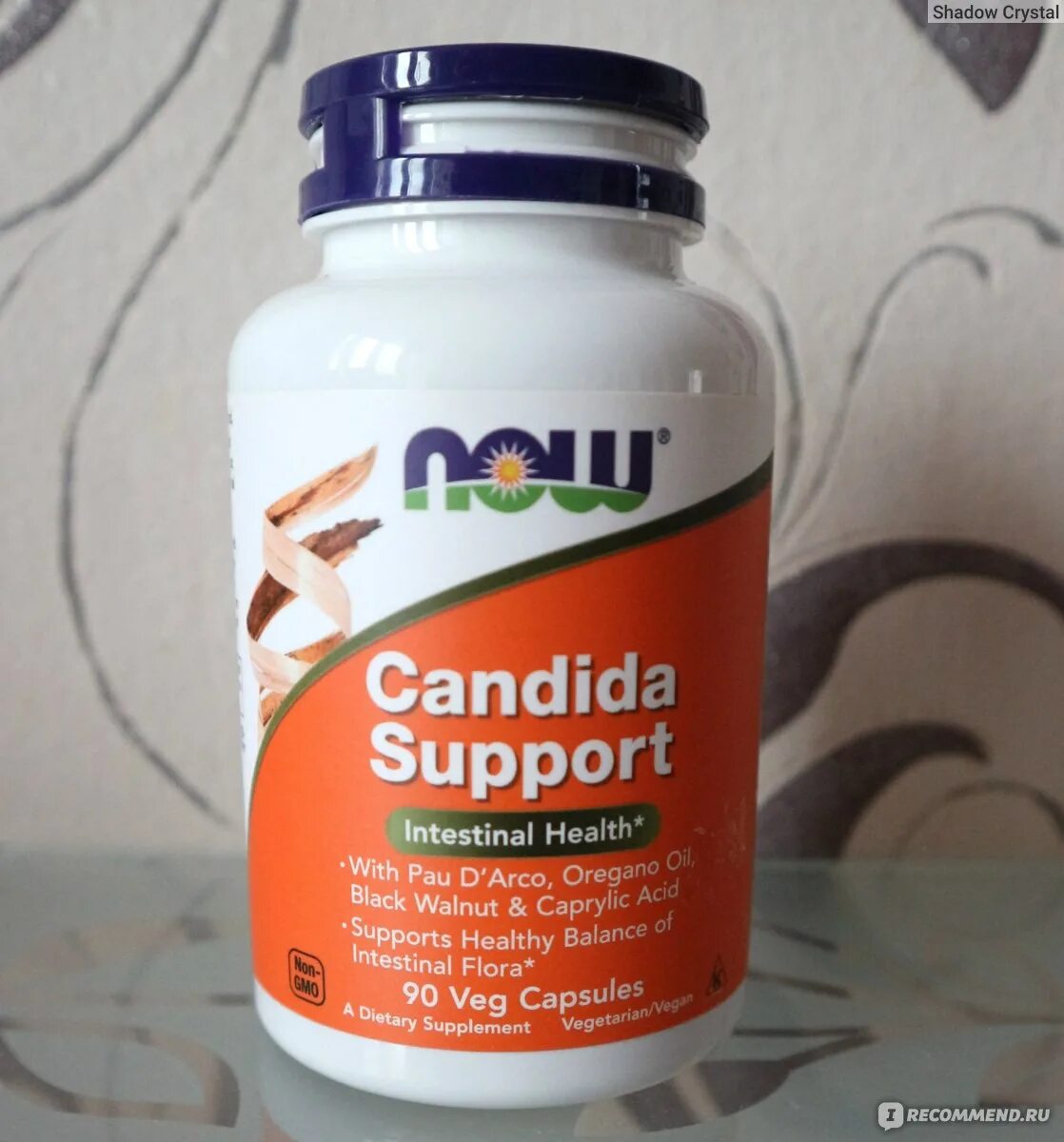 Candida купить