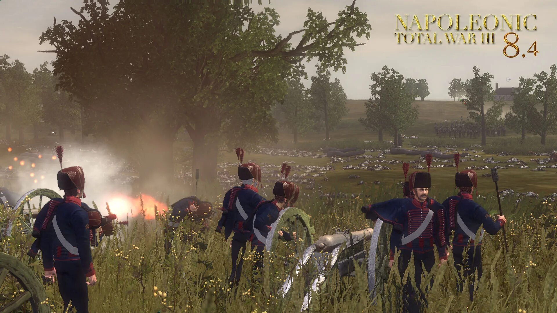 Napoleonic wars 3. Napoleonic total war 3. Napoleon total war 2010. Napoleon total war iii. Total war: napoleon – definitive edition.