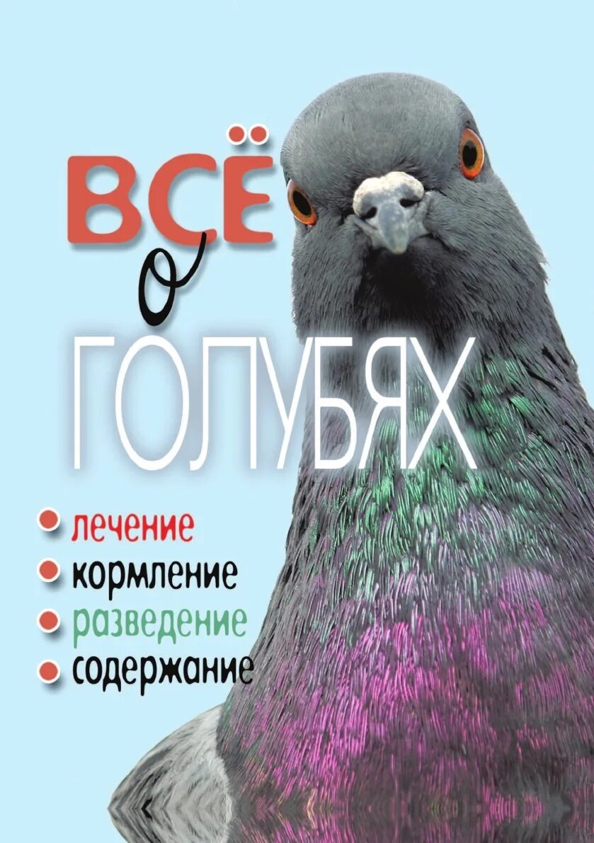 Читать про голубей. Книги про голубей. художественные книги о голубях. все о голубях книга. голубеводство книга.
