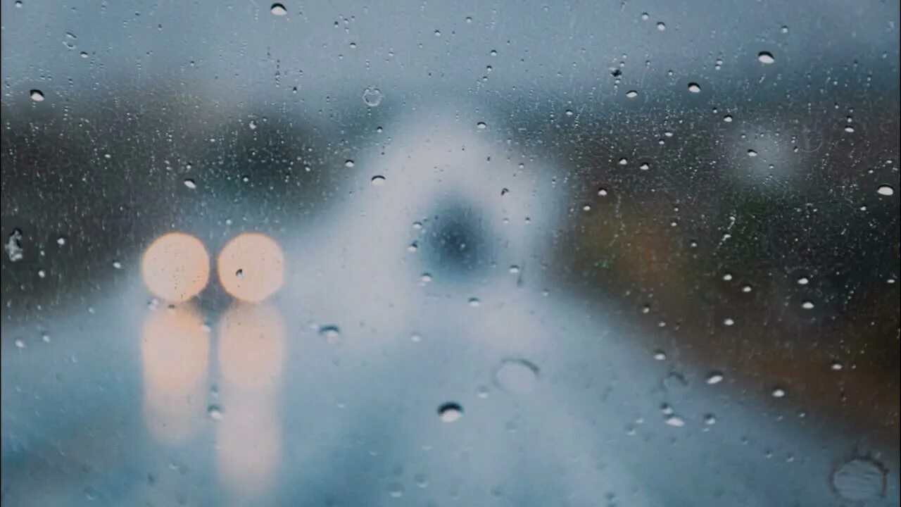 Все было мокро от тумана