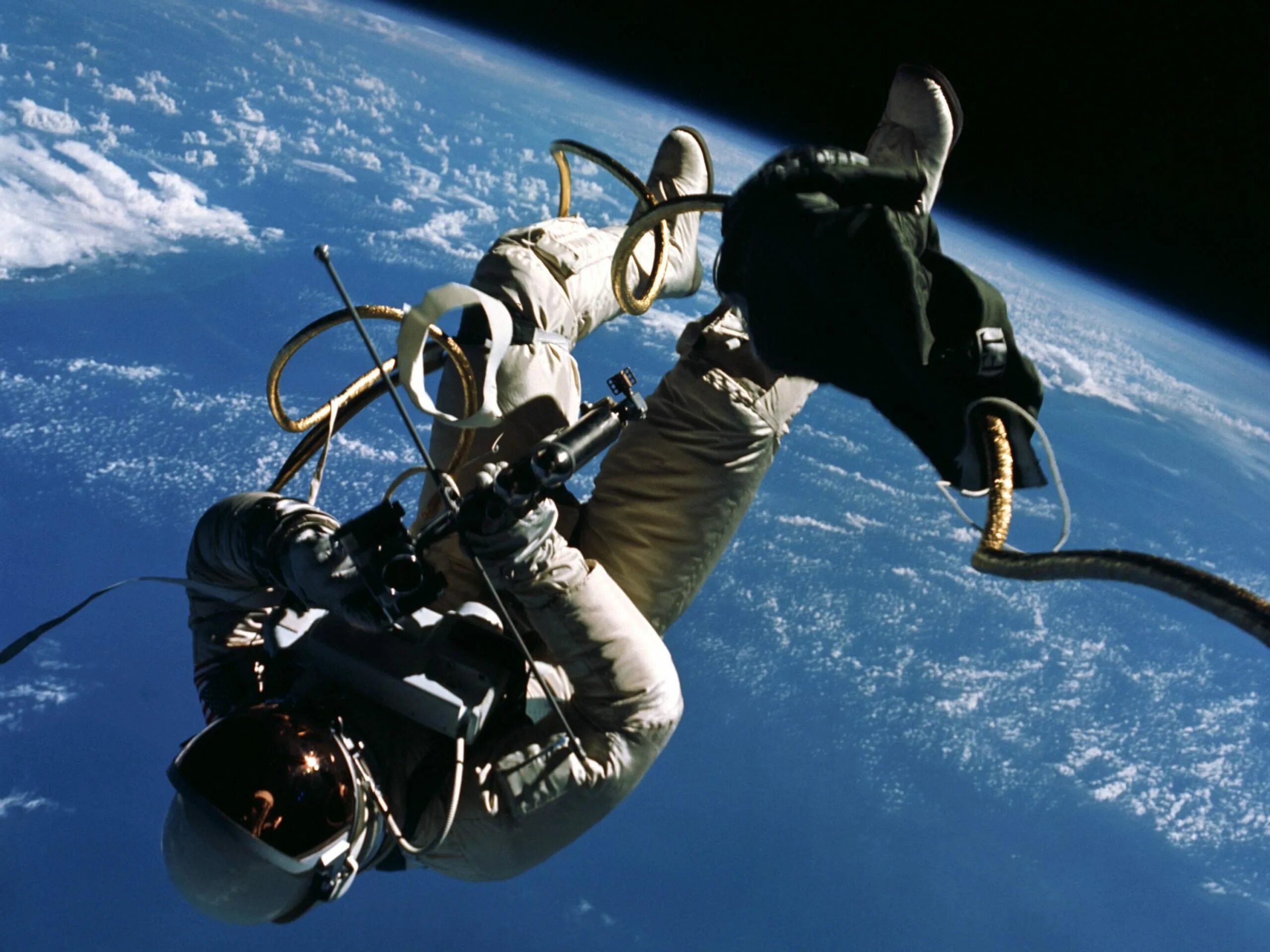 Первое живое существо совершившее космический полет. Человек в открытом космосе. Космонавт в космосе.