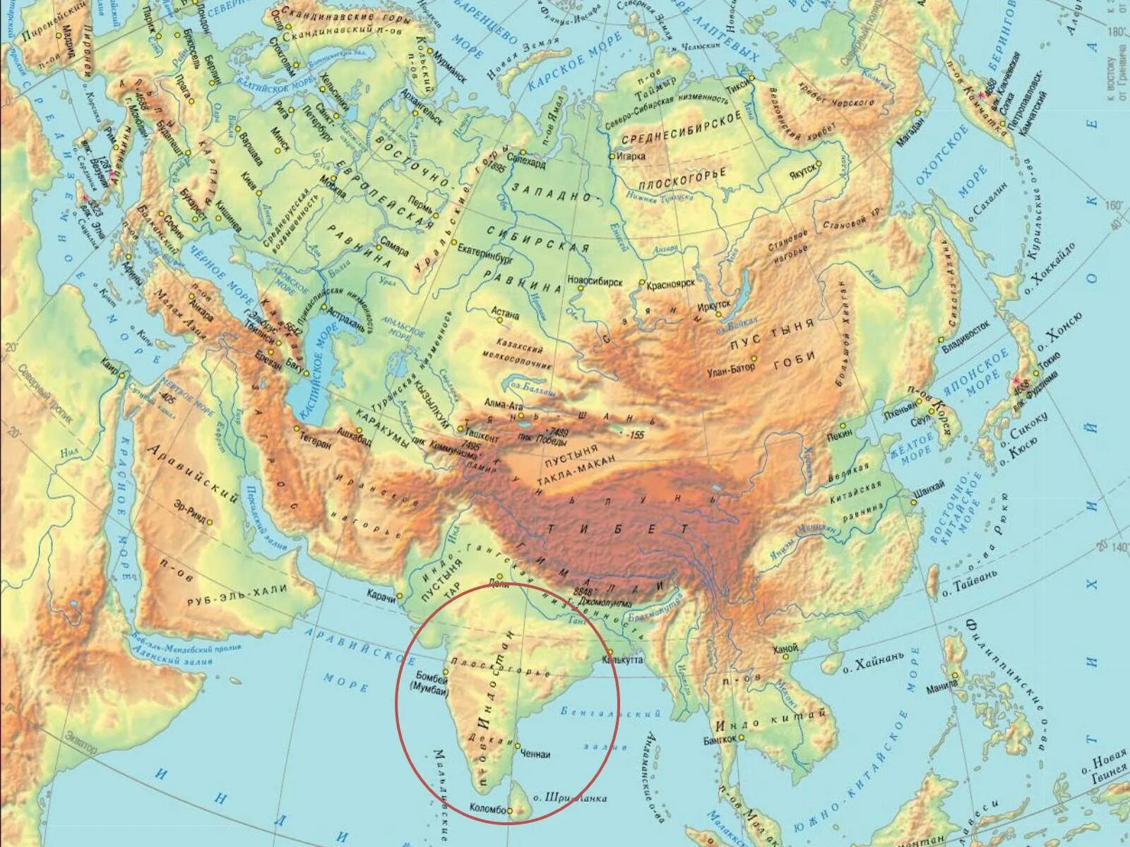 Какие платформы лежат в основании материка евразия. Евразия горы нагорья Плоскогорья на карте. Физическая карта Евразии горы и равнины. Формы рельефа Евразии. Рельеф Евразии Гималаи.