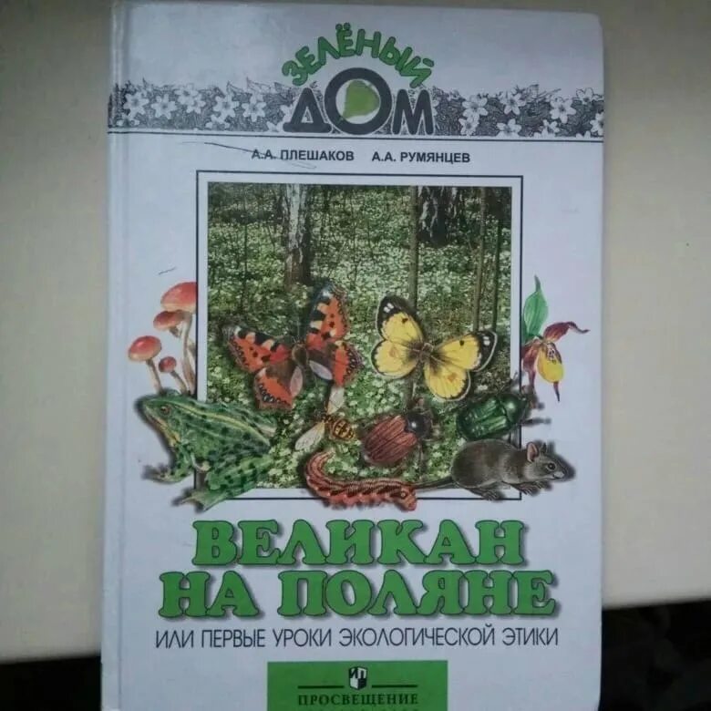 Рассказ горит костер окружающий мир. Великан на Поляне или первые уроки экологической этики. Книжка великан на Поляне. Великан на Поляне 2 класс окружающий мир. Великан на Поляне лекарственные растения.