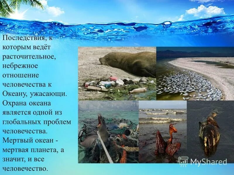 Влияние океана на человека. Последствия загрязнения мирового океана. Проблема загрязнения океанов. Последсыре загрязнения океана. Плакат на тему загрязнение мирового океана.