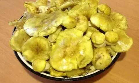 Жареный зеленый гриб