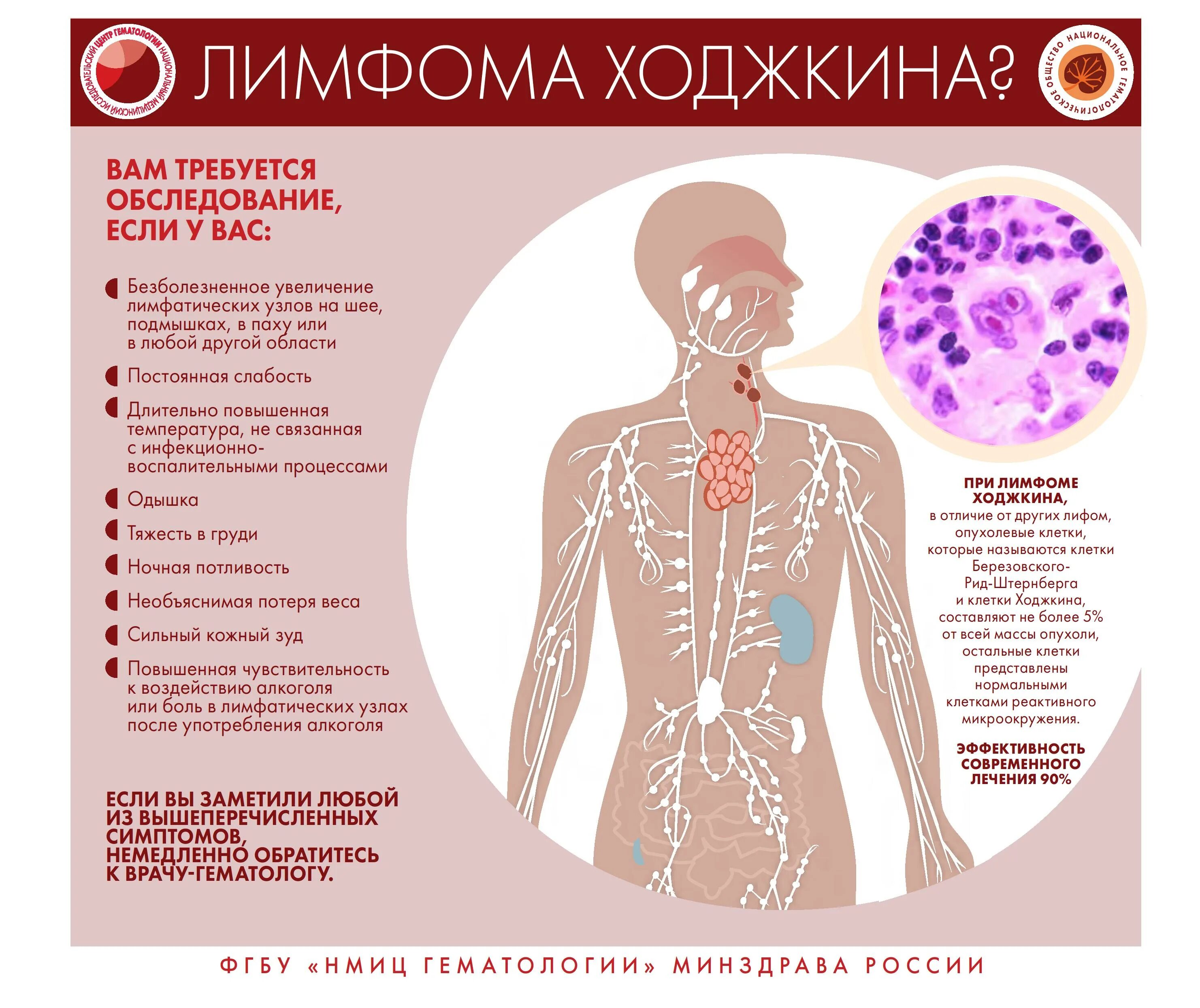 Гематолог какие болезни. Симптоматика заболеваний.