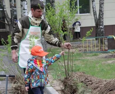 Выросли в саду
