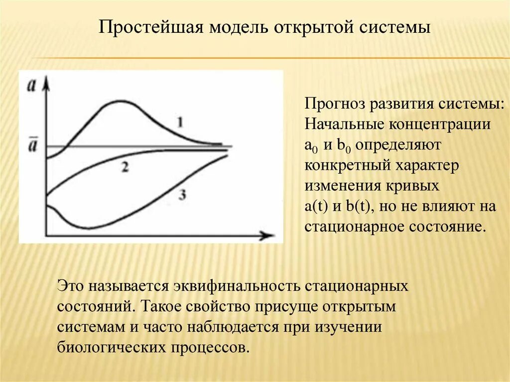 3 простейших моделей. Простейшая кинетическая модель открытой системы. Кинетика биологических процессов. Простейшие модели биологических систем. Простейшее моделирование.