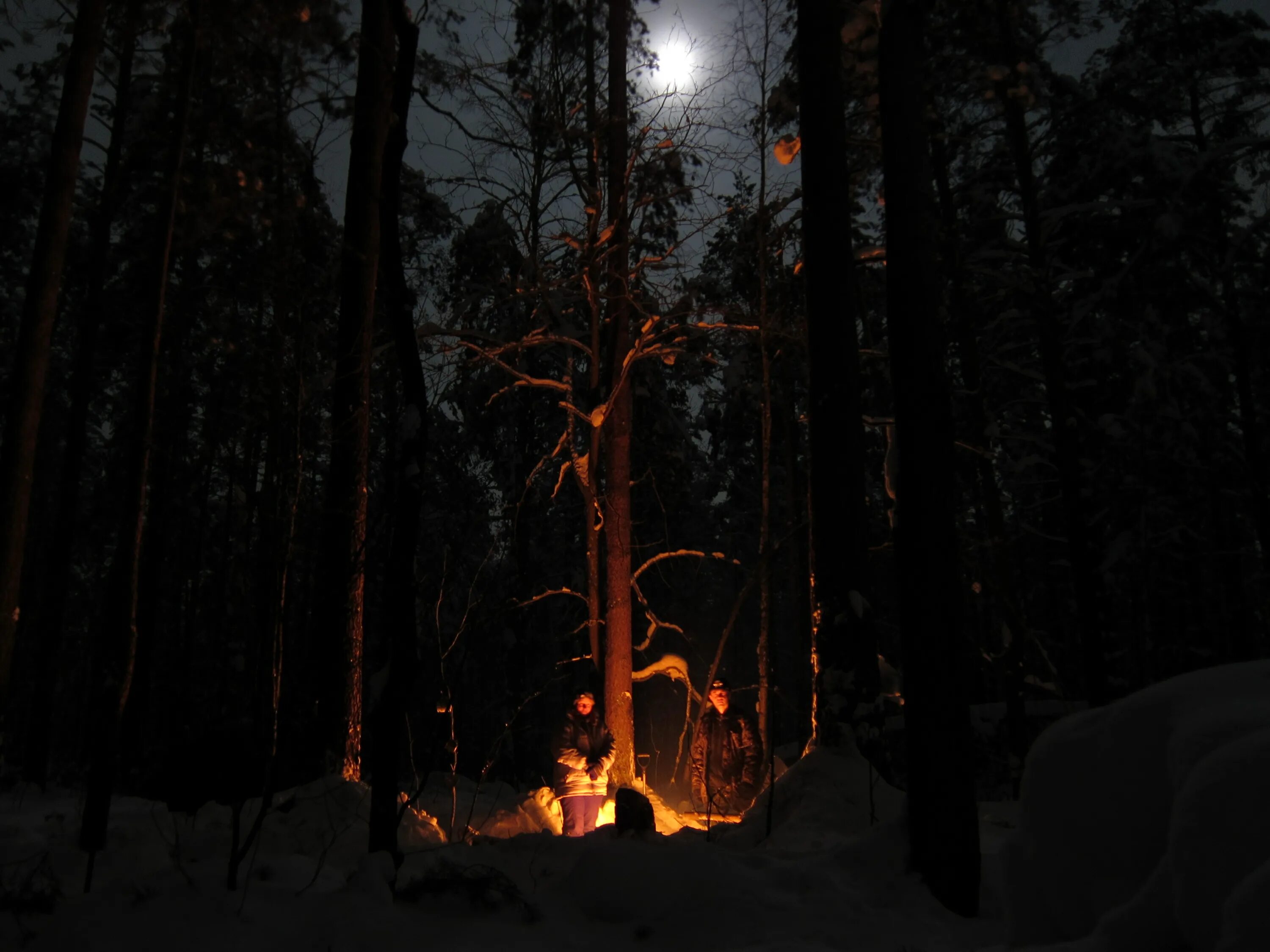 Костер зимой. Снежинки над костром. Снежинки над костром. Костер зимой. Снежинки над костром.