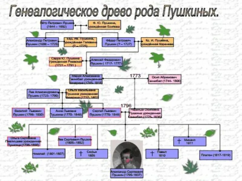 Родословная пушкина древо. Родовая пушкина. Родовое дерево пушкина. Родословная пушкина древо. Родовая пушкина.