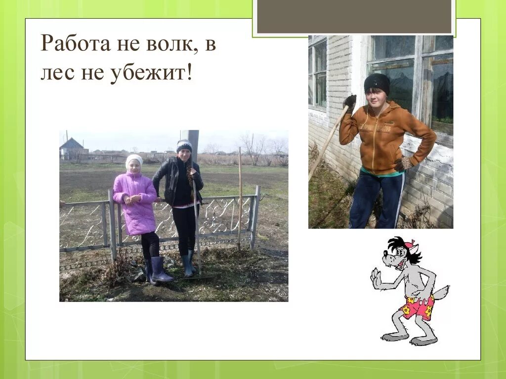 Работа на волк в лес не убежит. Работа не волк. Открытка работа не волк в лес не убежит. Фото работа не волк в лес не убежит.