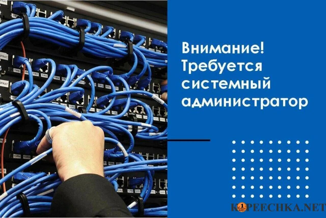 Админ 3 1. Требуется системный администратор. Ведущий системный администратор. Вакансия системный администратор. Сисадмин вакансии.