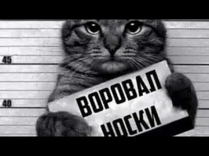 Тогда он оглушительно ронял на флигель