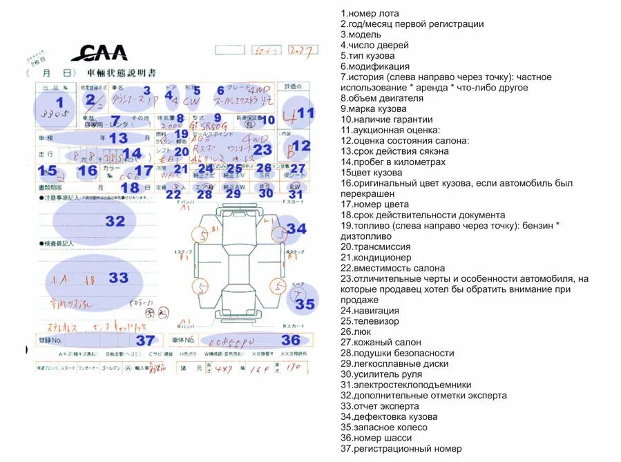 Расшифровка аукционника. Аукционный лист расшифровка Япония оценка авто. Расшифровка оценки авто с аукциона в Японии. R В аукционном листе в Японии. Аукционный лист USS расшифровка Япония.