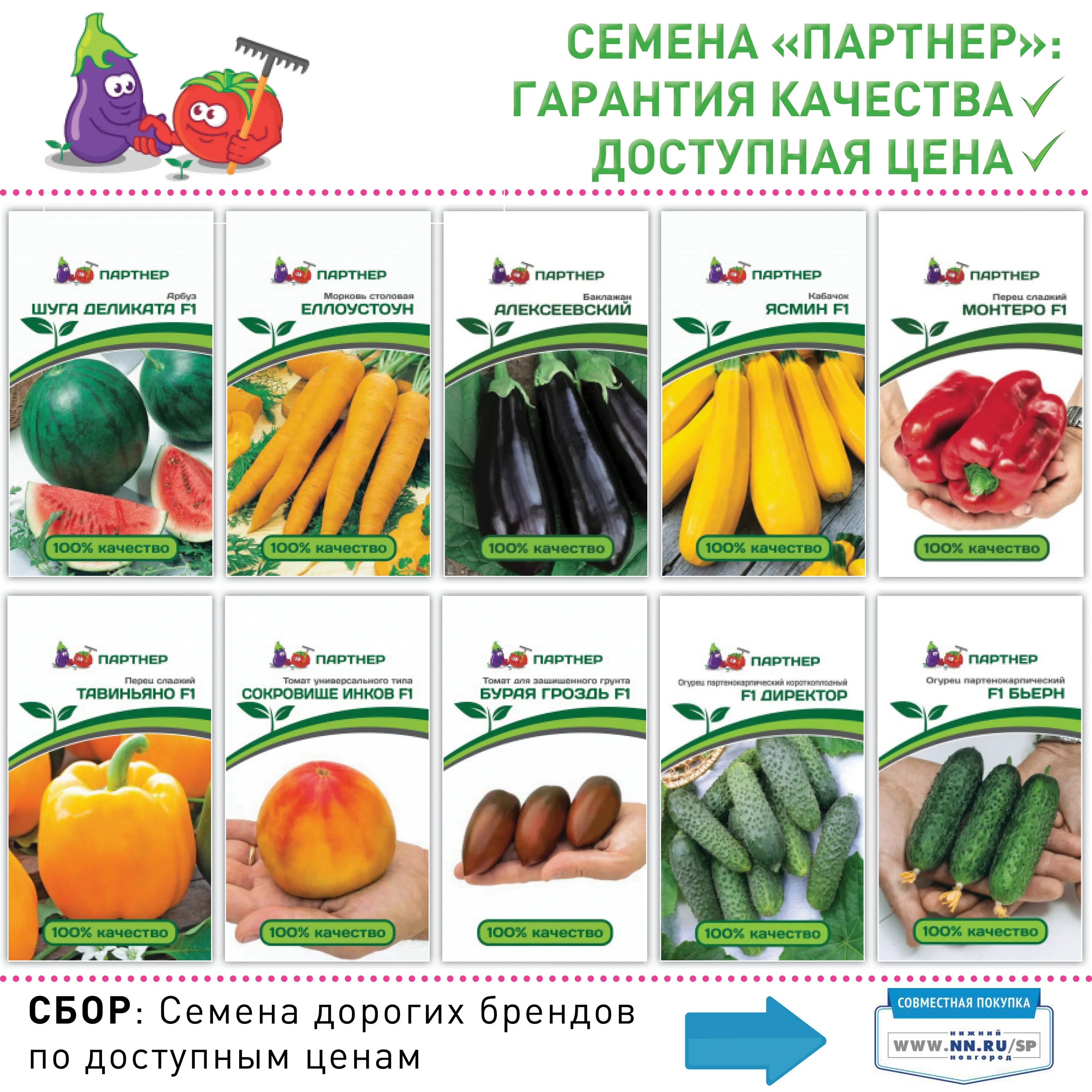 Семена овощей от партнера. Семена партнёр интернет магазин каталог на 2022. Семена агрофирмы. Агрофирма партнер семена. Семена бай каталог 2024 интернет магазин беларусь.