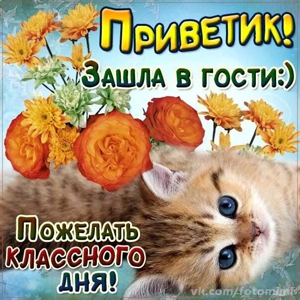 Добрый вечер с васильками. Открытки добрый день здравствуйте. Добрые пожелания. Здравствуйте доброго вам дня. Добрый день заходи.