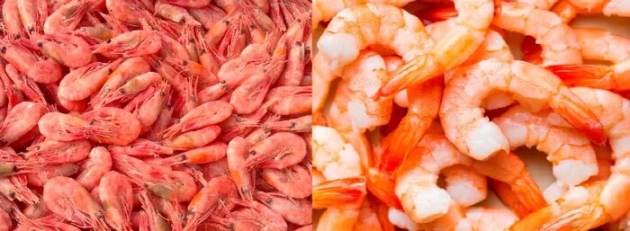 Сколько можно хранить размороженные креветки. Креветка коктейльная неочищенная. коктейльные креветки в панцире. готовка креветок замороженные. креветки в кокосовой стружке.