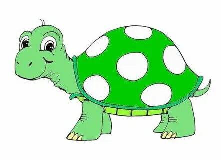 T turtle