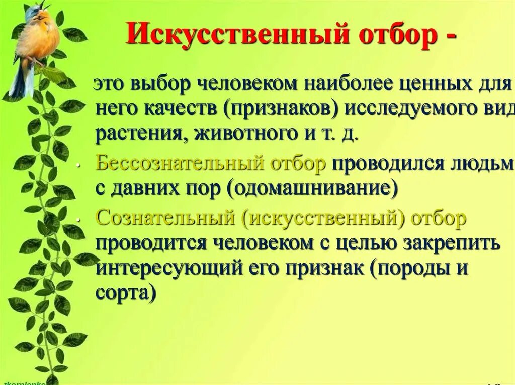 Искусственный отбор. Искуственный ОТБР Э это. Искусственный отбор это в биологии. Искусственныйотбор ЭТЛ.