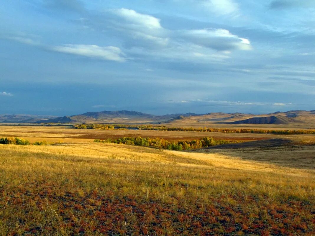 Поле осенью. Причерноморские степи. Осень в степи в степи. Оренбург степи. Сухая степь.
