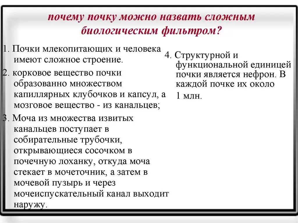 Почему почки называют биологическим фильтром. Почему почку можно назвать сложным фильтром. Почему почку можно назвать сложным биологическим фильтром. Почему почки называются биологическими фильтрами.