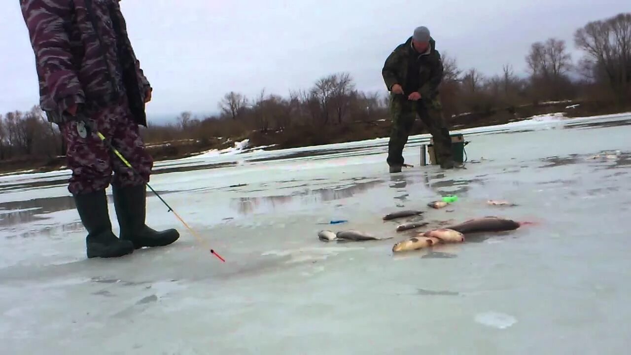 Ловля на покаток. Снасть дергуша. Зимняя оснастка покаток. Рыбалка оснасткой покаток. Снасть покаток.