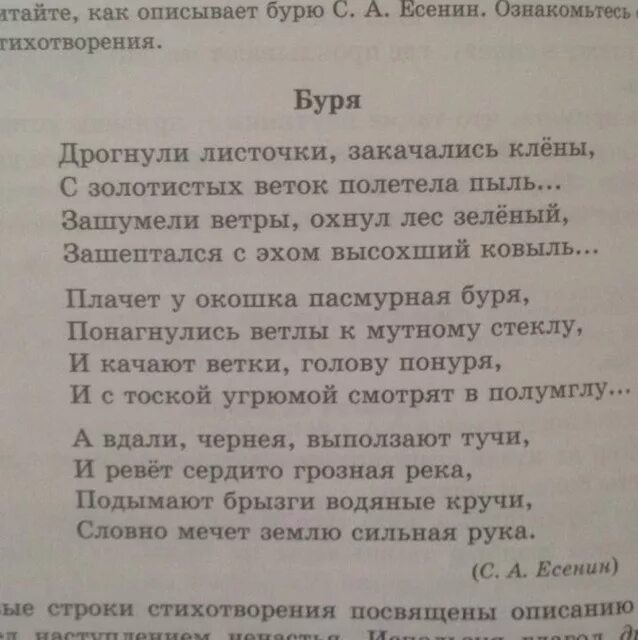 Стихотворение Есенина буря. Стихотворение буря Есенин. Есенин буря анализ.