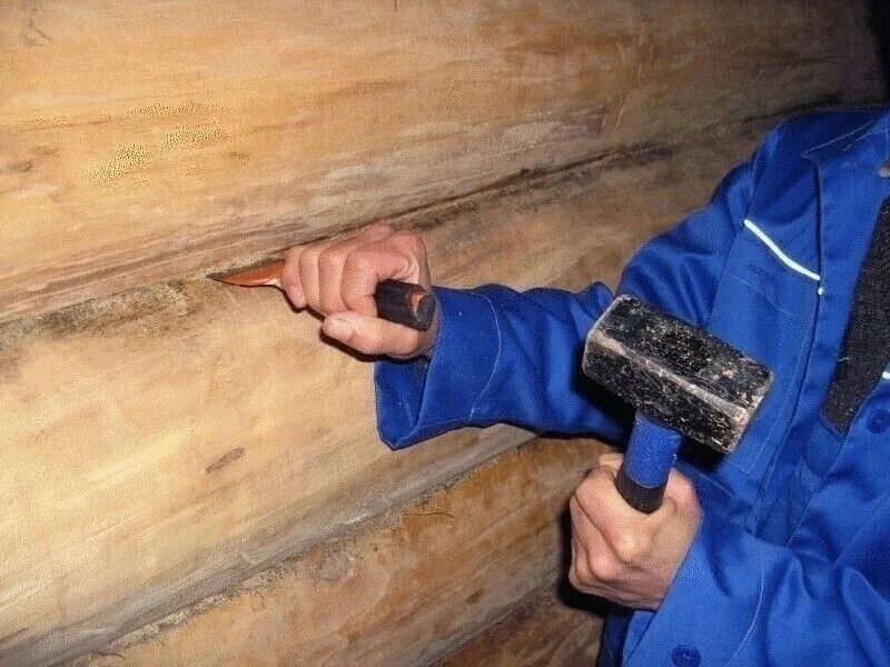 Инструмент для конопата конопатка. Конопатка сруба джутом внутри. Как конопатить сруб. Врастяжку конопатку. Конопатка оцилиндрованного бревна.