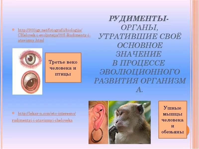 Органы утратившие в процессе эволюции свое значение.