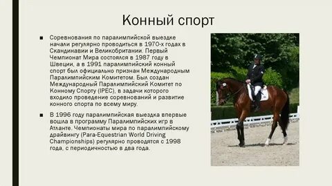 Конный вид спорта как называется
